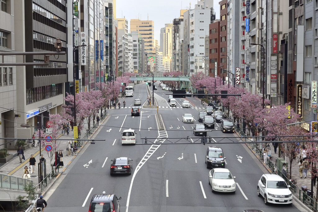 Streets start to be covered with pink petals.