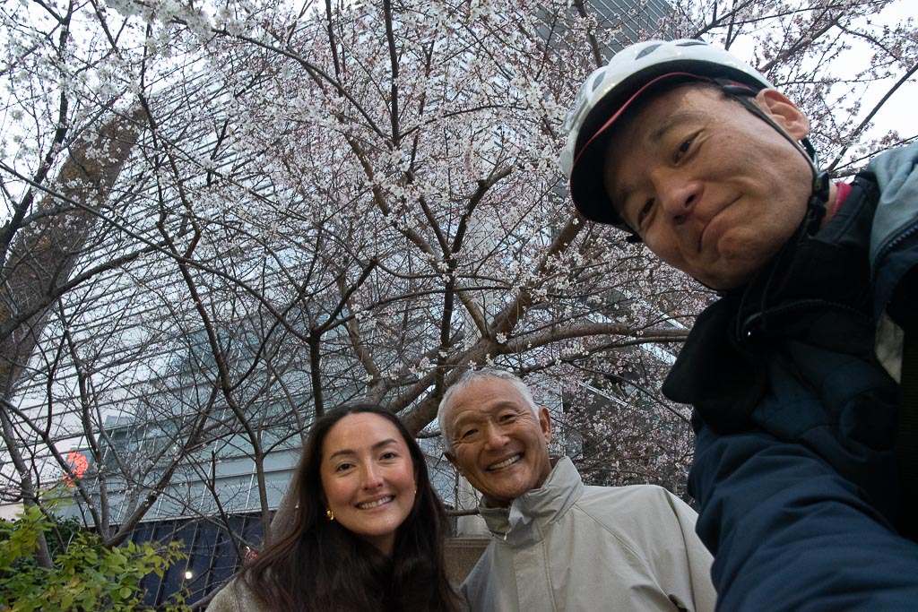 A bonus scene: Sakura Cherry Blossom even in winter!