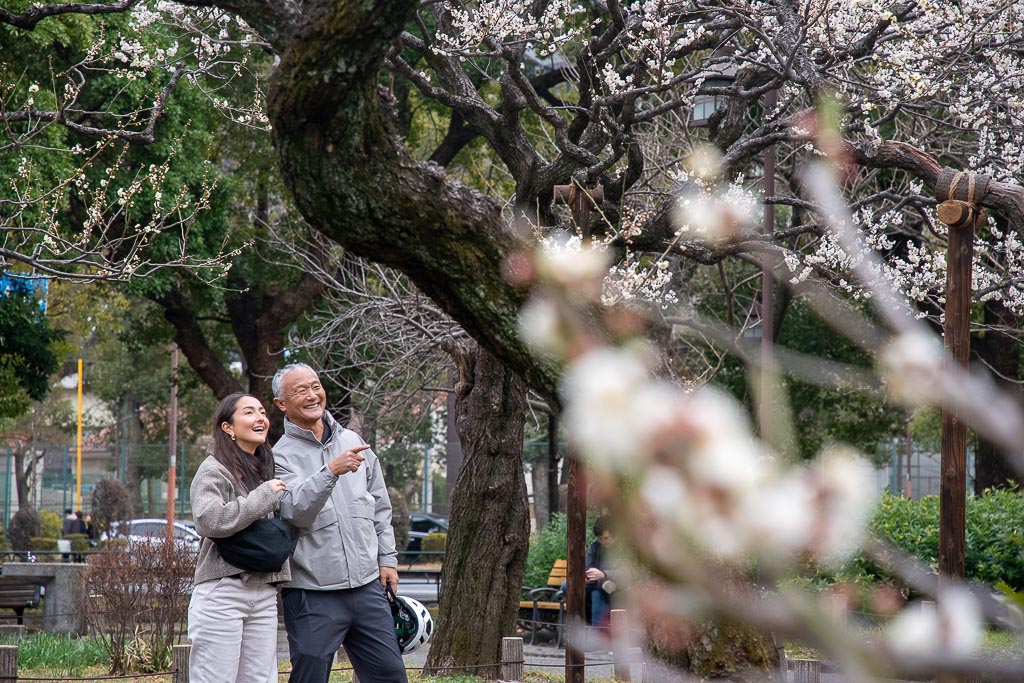 Enjoyed the beauty of the plum trees.