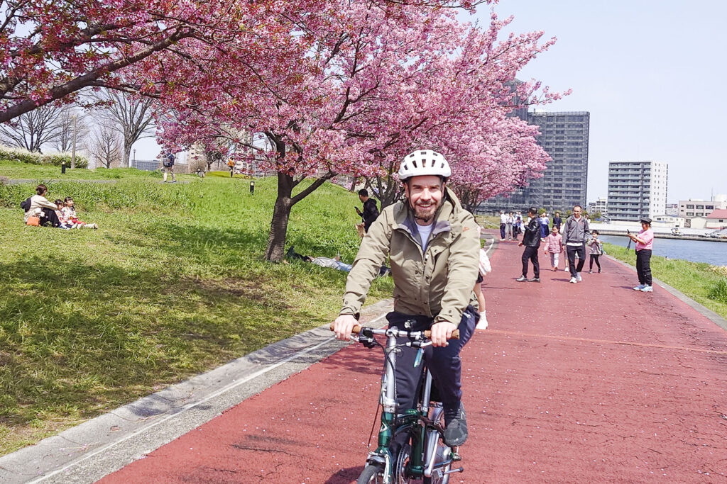 Want to cycle along the river and the cherry blossoms?