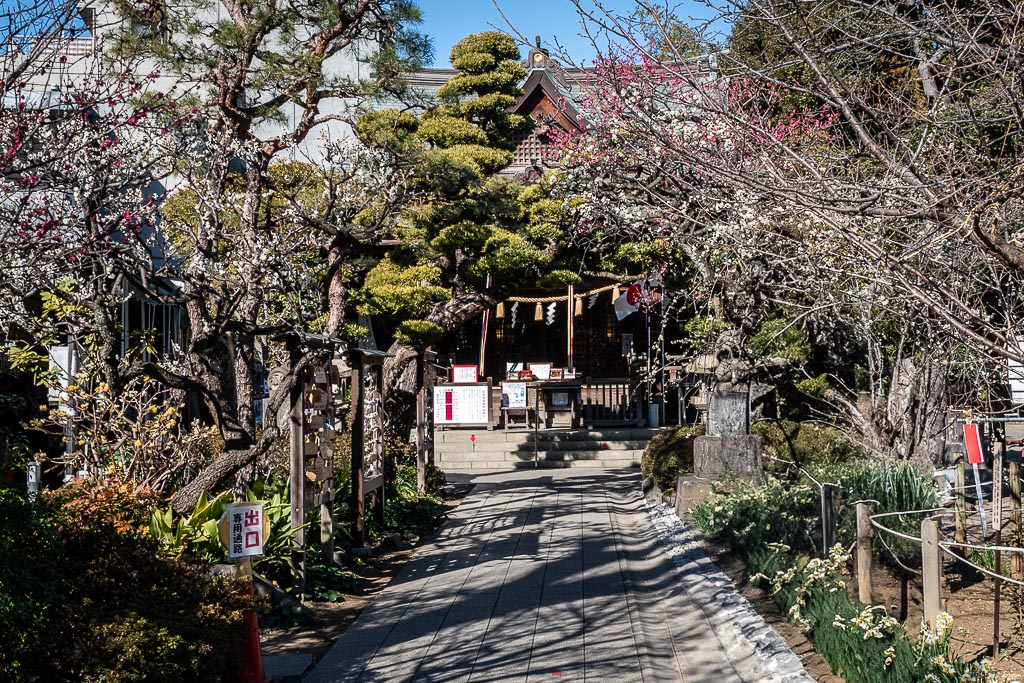 Hatonomori Hachiman Shrine, a local shrine