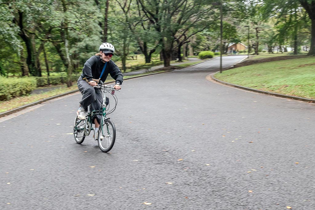 Through Yoyogi Park