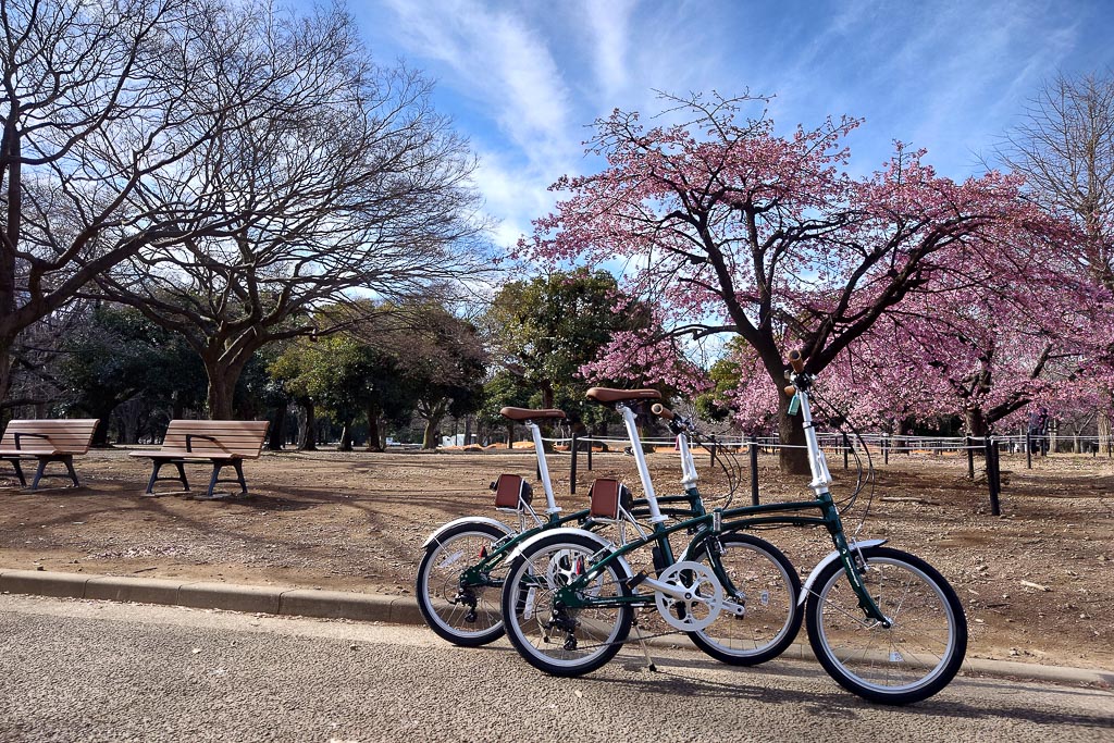 With e-bikes, your tour would be more relaxing.