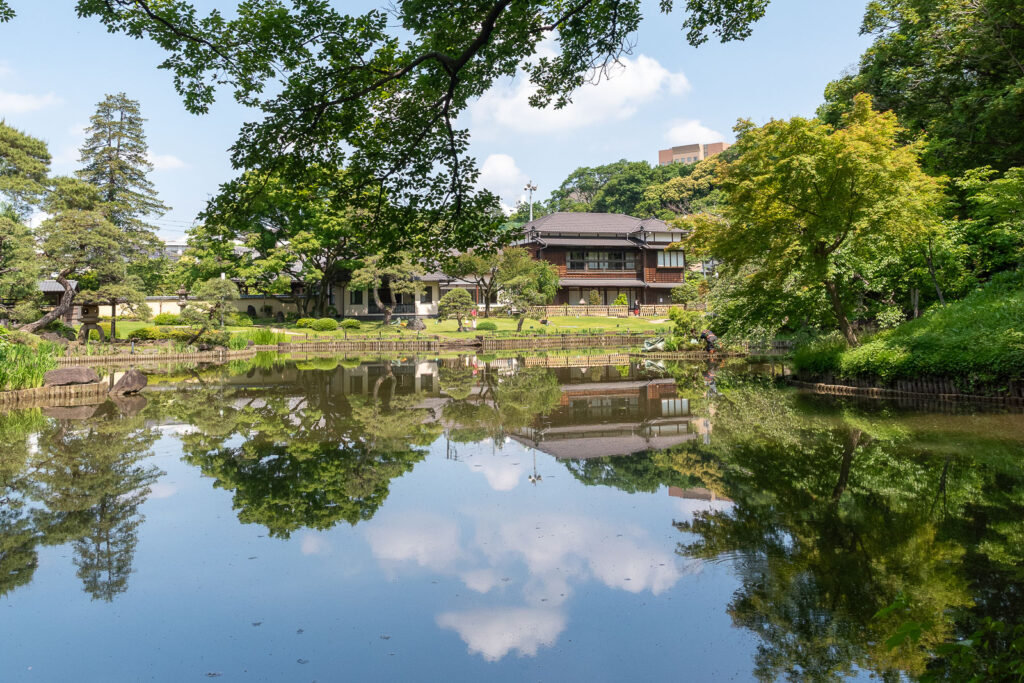 A serene garden.