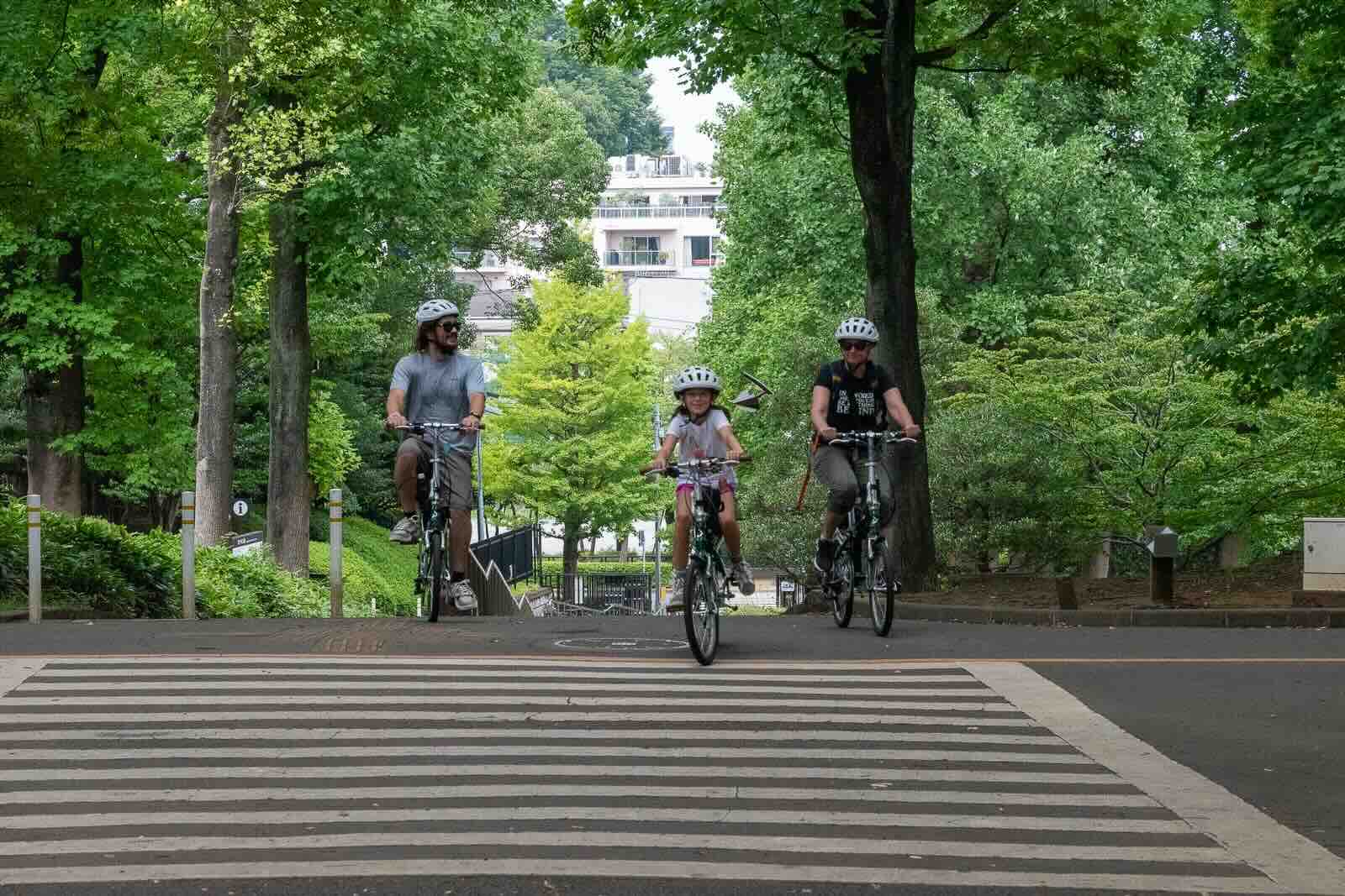 Through a peaceful park