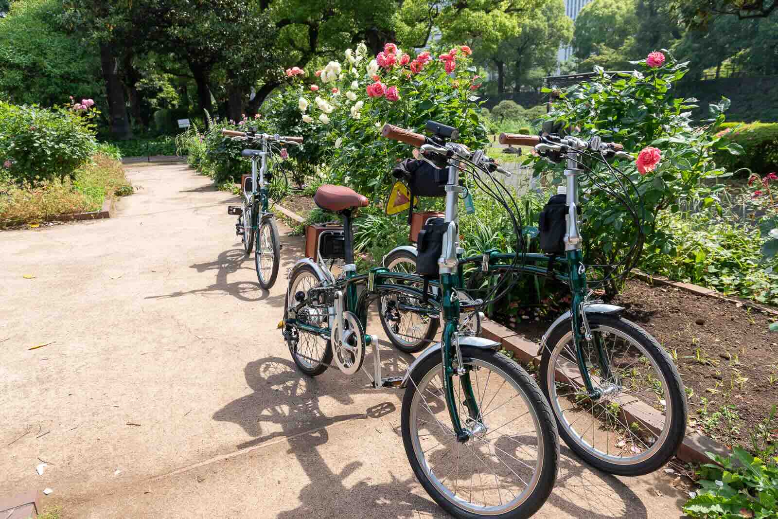e-bikes