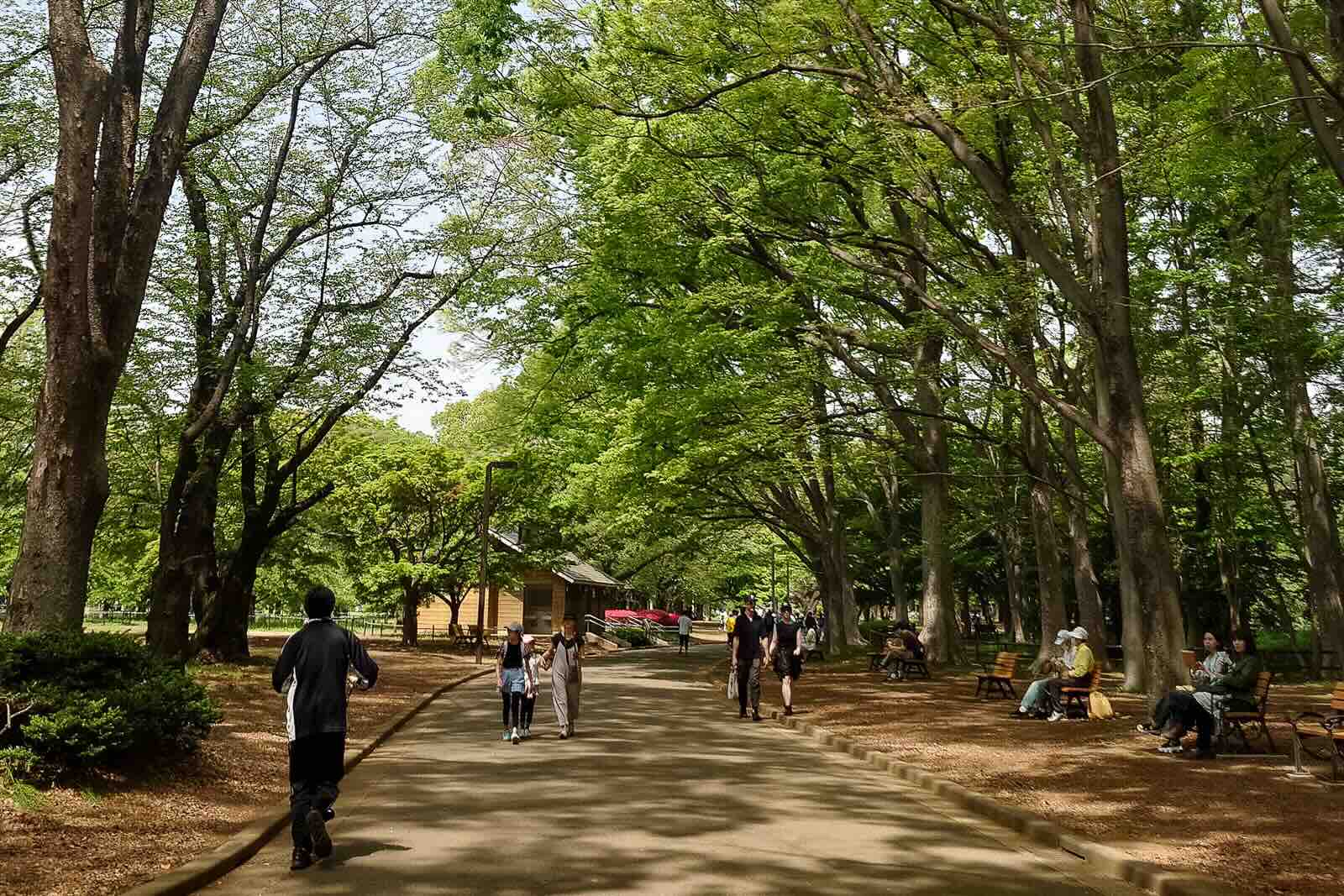Through Yoyogi Park, a relaxing moment on a weekend.