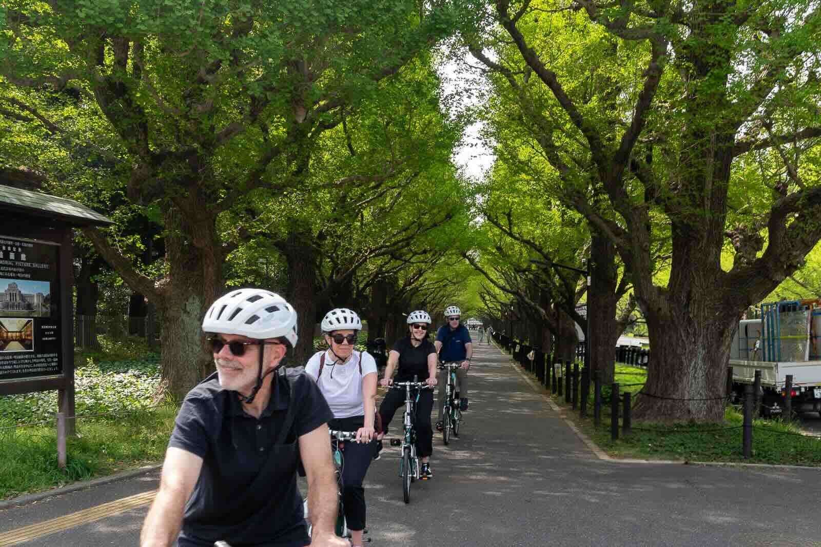 Cycling through the fresh green.