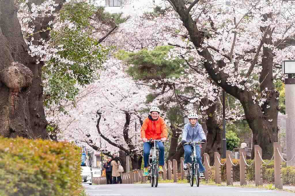 Hibiya to Shibuya: Discover the City’s Ever-Changing Streets on an E-Bike Tour