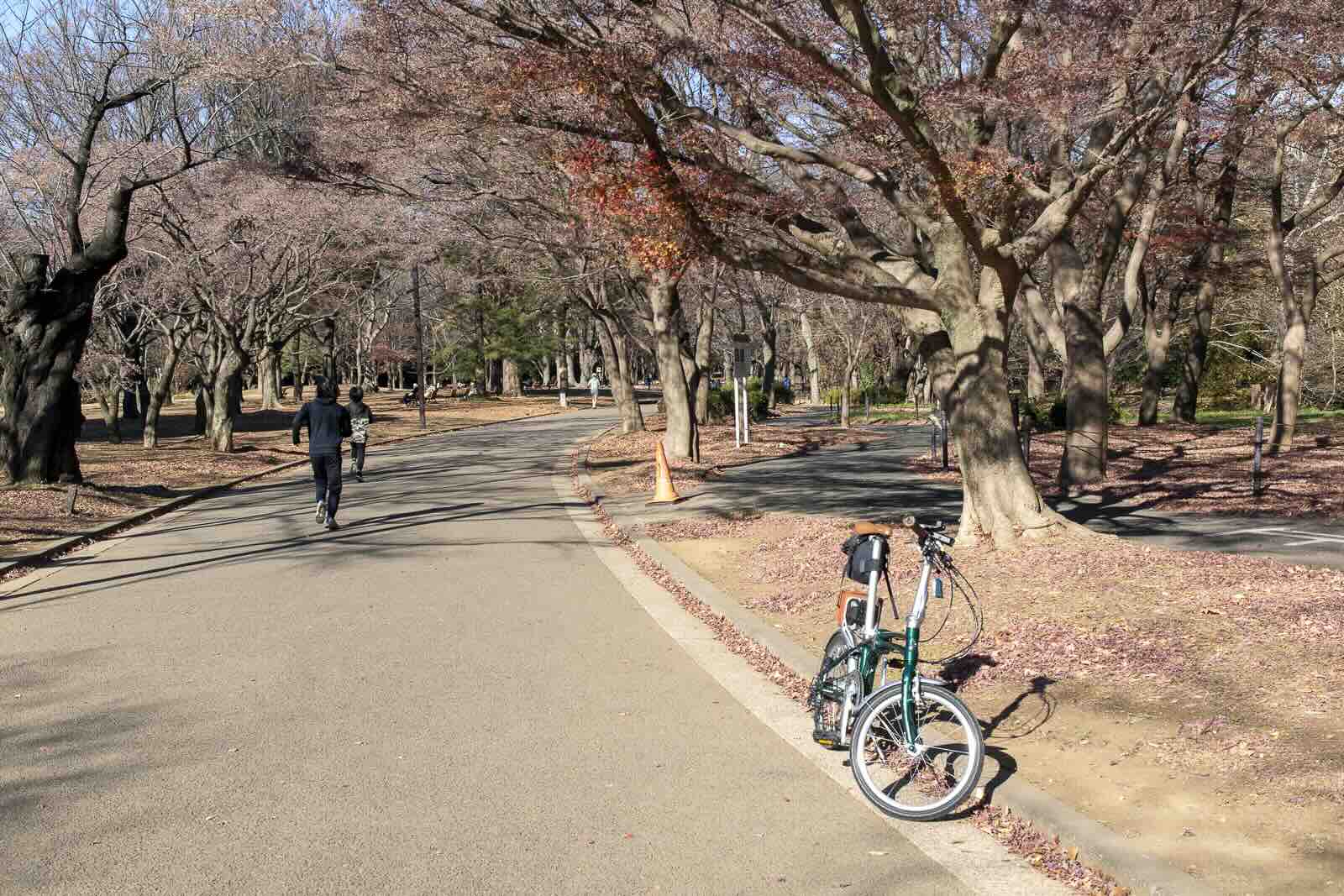 Yoyogi Park