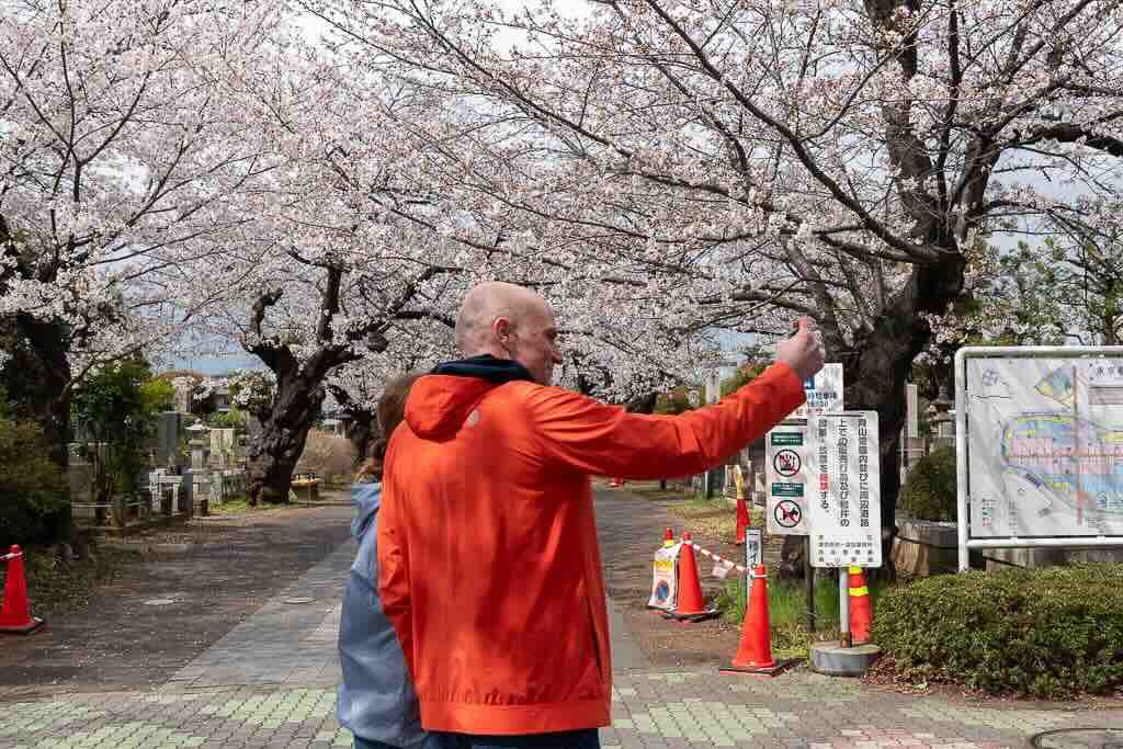 Aoyama Cemetry
