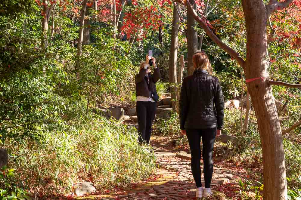 In a Japanese garden