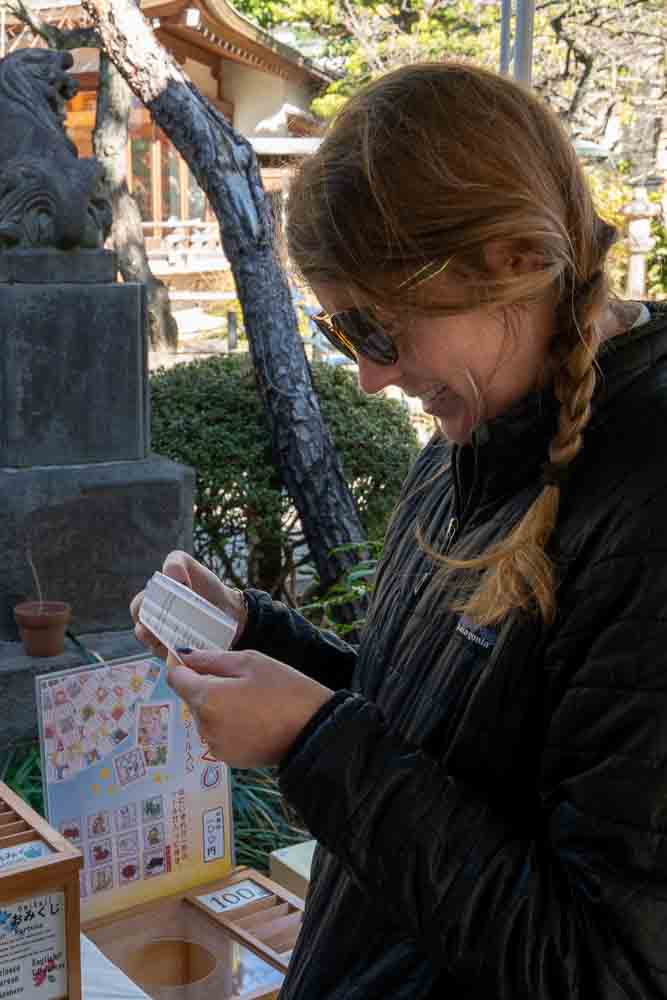 See your fortune at a shrine.
