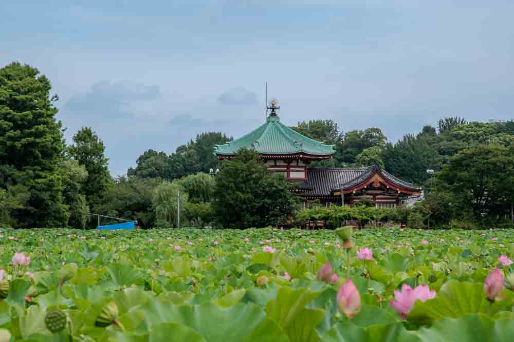 Ueno Park
