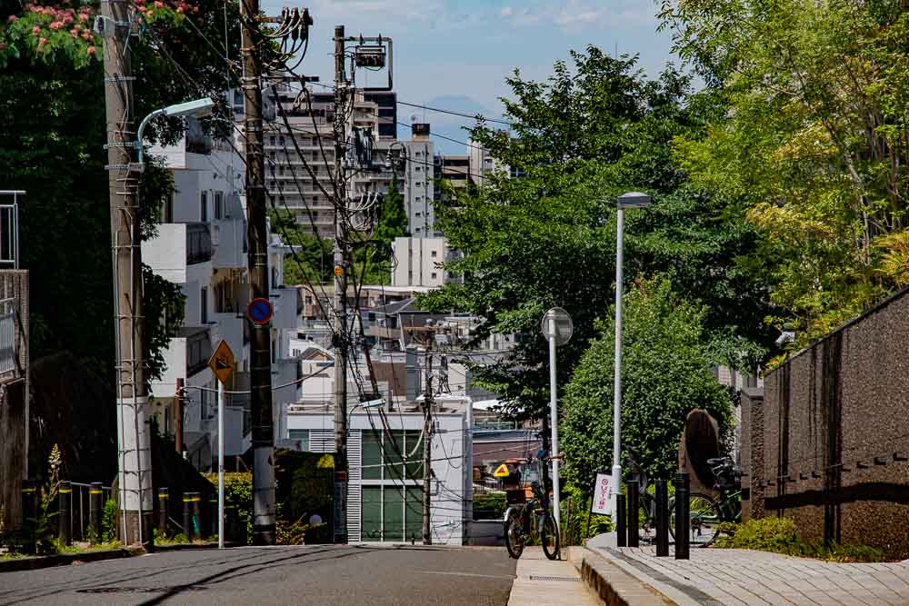 Mt. Fuji from the street