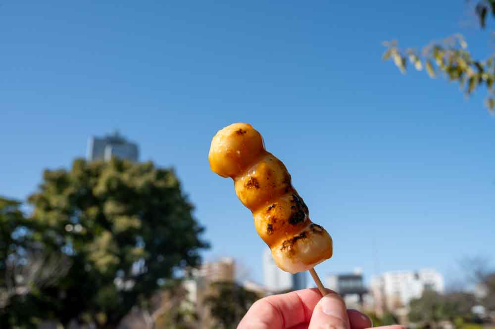 Dango: Our Secret Energy Source for Biking