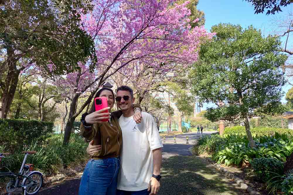 Oshima-zakura; this is not Somei Yoshino but very beautiful!