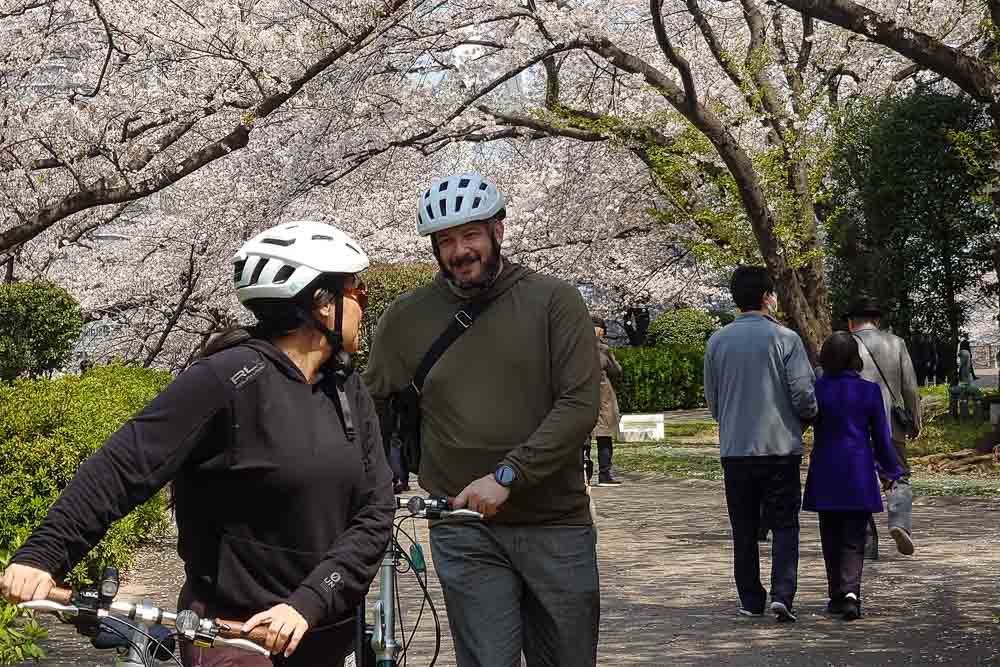 Plan B for the Blossoms: 4 Hidden Spots to Escape the Tokyo Crowds