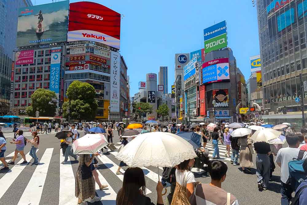 Hidden Shibuya: 4 Spots You Won’t Find in Traditional Guidebooks 2026