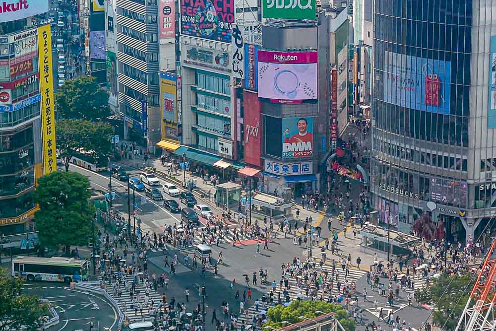 Shibuya Crossing View