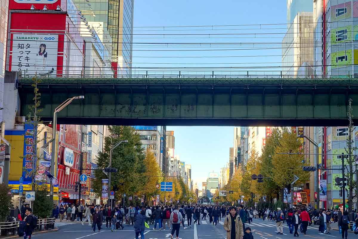 Akihabara