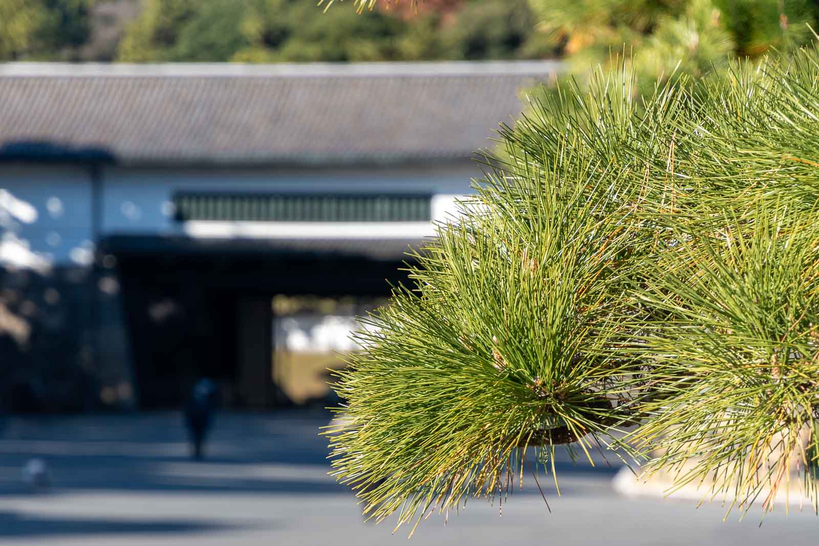 A Virtual Ride Around the Imperial Palace